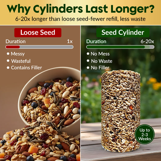 Bugs, Nuts & Berries Bird Seed Cylinders with Hole – Wild Bird Food for Blue Birds, Woodpeckers, Cardinals & More – Premium Protein-Rich All Natural Blend, No Fillers – USA Made (4" x 7.75")