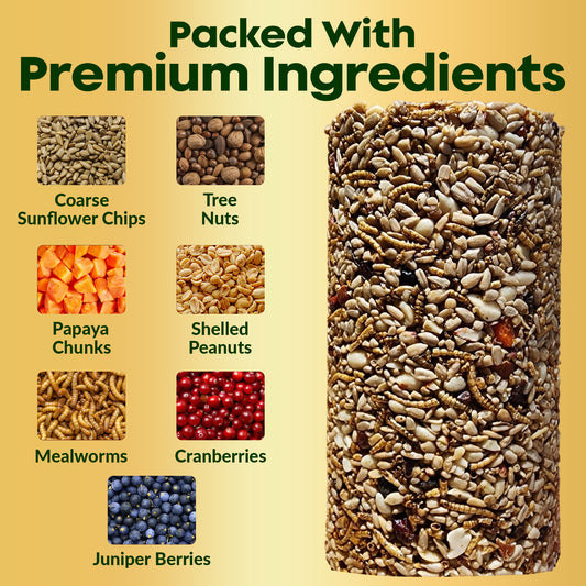 Flockin' Bugs, Nuts & Berries Bird Seed Cylinder - 1.5lbs & 4" x 7.75"