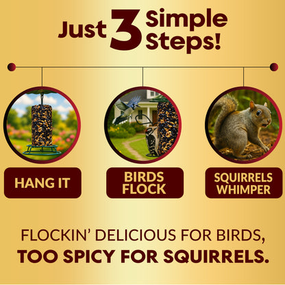 Hot Pepper Bird Seed Cylinders with Hole – Spicy Birdseed to Reduce Squirrels – Bird Seeds for Outside Wild Birds – No Mess Birdseed – Hot Birdseed with No Filler – All Natural, USA Made (4" x 7.75")