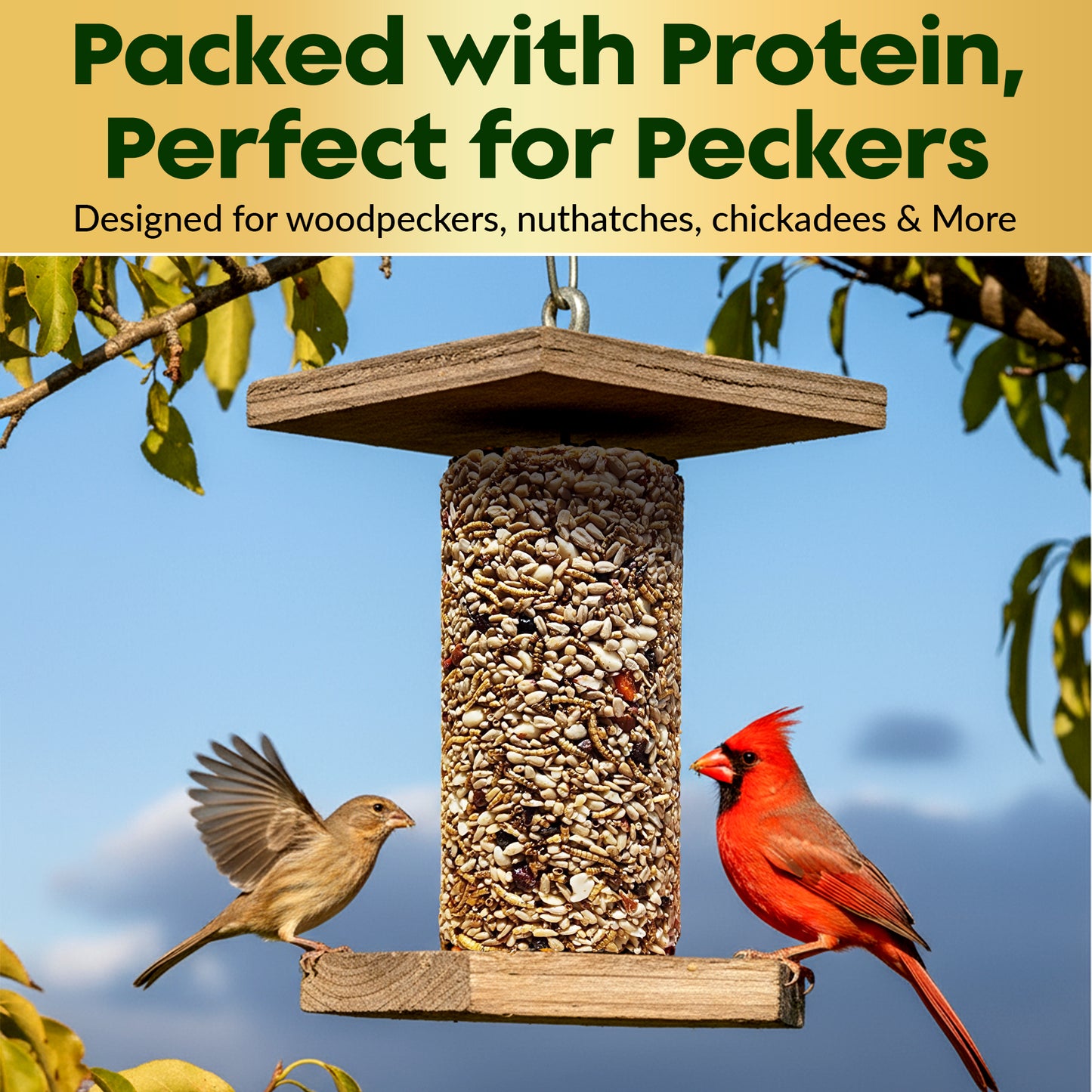 Bugs, Nuts & Berries Bird Seed Cylinders with Hole – Wild Bird Food for Blue Birds, Woodpeckers, Cardinals & More – Premium Protein-Rich All Natural Blend, No Fillers – USA Made (4" x 7.75")