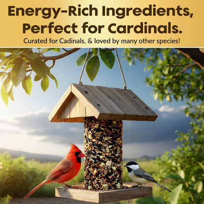 Cardinal Bird Seed Cylinders with Hole – Premium Cardinal Bird Seed Mix Curated for Cardinals & Also Loved by Blue Jays & Woodpeckers – Long Lasting, All Natural, No Fillers, USA Made (4" x 7.75")