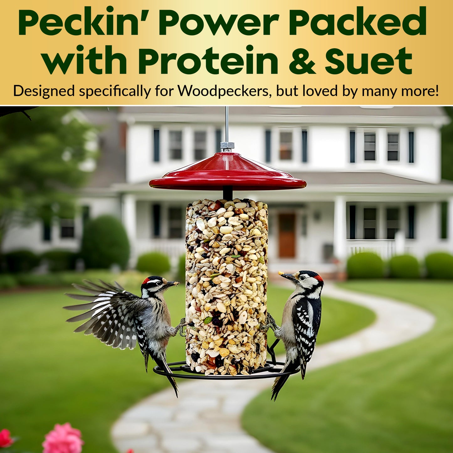 Woodpecker Bird Seed Cylinders with Hole – Premium Woodpecker Food Blend with Sunflower Chips, Peanuts & Suet – Natural High Energy Bird Seed, No Filler, No Shell, No Mess – USA Made (4" x 7.75")