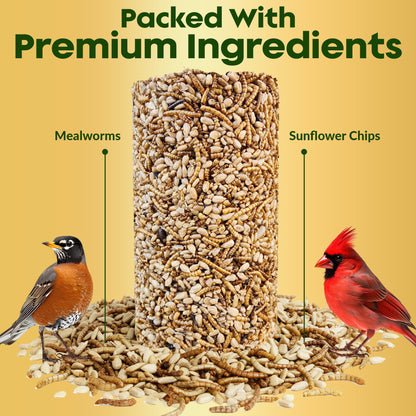 Mealworm Bird Seed Cylinders with Hole – Premium Mealworm Birdseed Log – Sunflower Chips & Dried Mealworms for Wild Birds – Natural High Energy Seed Cylinder – No Fillers – USA Made (4" x