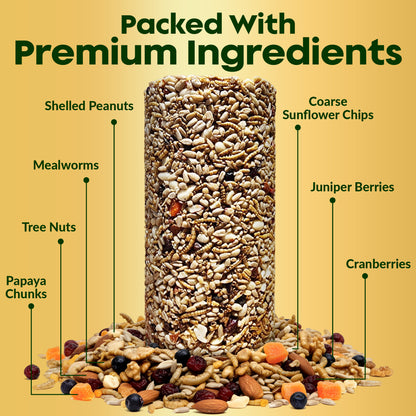 Bugs, Nuts & Berries Bird Seed Cylinders with Hole – Wild Bird Food for Blue Birds, Woodpeckers, Cardinals & More – Premium Protein-Rich All Natural Blend, No Fillers – USA Made (4" x 7.75")