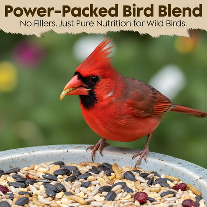 Cardinal Bird Seeds for Outside Wild Birds - Premium Cardinal Bird Feed with Sunflower Seed, Mealworms & Peanuts - Bird Food for Outside Wild Birds - Attracts Cardinals & Songbirds - No Fillers (5LBS)