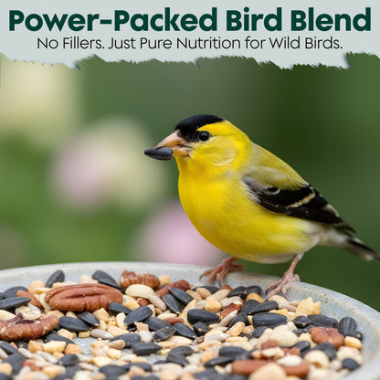 Year-Round Bird Food for Outside Wild Birds - Premium Bird Feed with Sunflower Seeds, Chips & Peanuts - Bird Seeds for Outside Wild Birds - Attracts Various Songbirds - No Fillers - USA Made (5LBS)