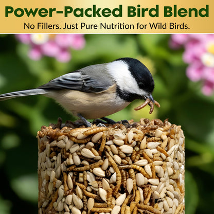 Mealworm Bird Seed Cylinders with Hole – Premium Mealworm Birdseed Log – Sunflower Chips & Dried Mealworms for Wild Birds – Natural High Energy Seed Cylinder – No Fillers – USA Made (4" x