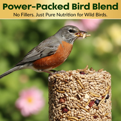 Bugs, Nuts & Berries Bird Seed Cylinders with Hole – Wild Bird Food for Blue Birds, Woodpeckers, Cardinals & More – Premium Protein-Rich All Natural Blend, No Fillers – USA Made (4" x 7.75")