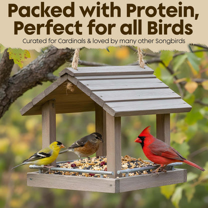 Cardinal Bird Seeds for Outside Wild Birds - Premium Cardinal Bird Feed with Sunflower Seed, Mealworms & Peanuts - Bird Food for Outside Wild Birds - Attracts Cardinals & Songbirds - No Fillers (5LBS)