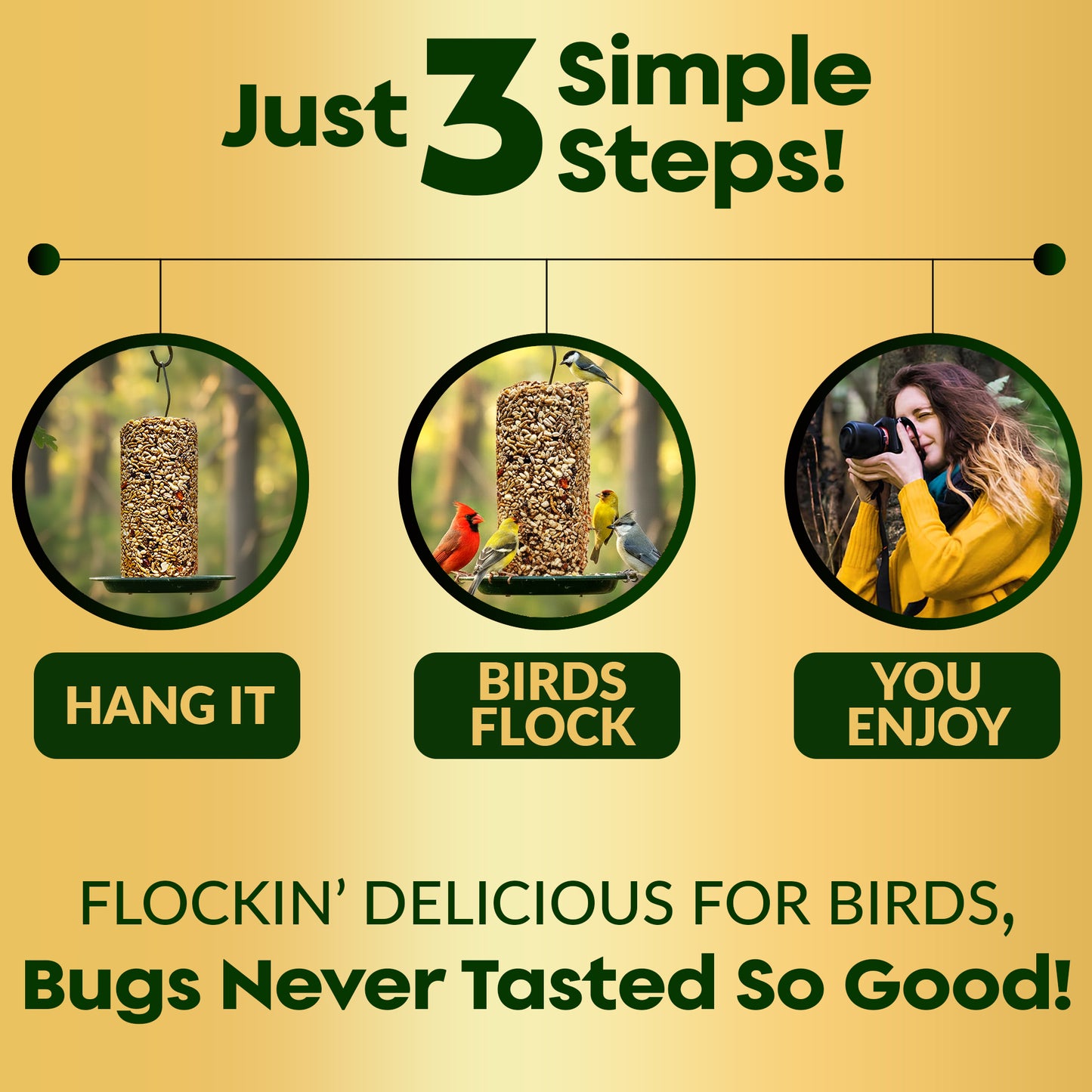 Bugs, Nuts & Berries Bird Seed Cylinders with Hole – Wild Bird Food for Blue Birds, Woodpeckers, Cardinals & More – Premium Protein-Rich All Natural Blend, No Fillers – USA Made (4" x 7.75")