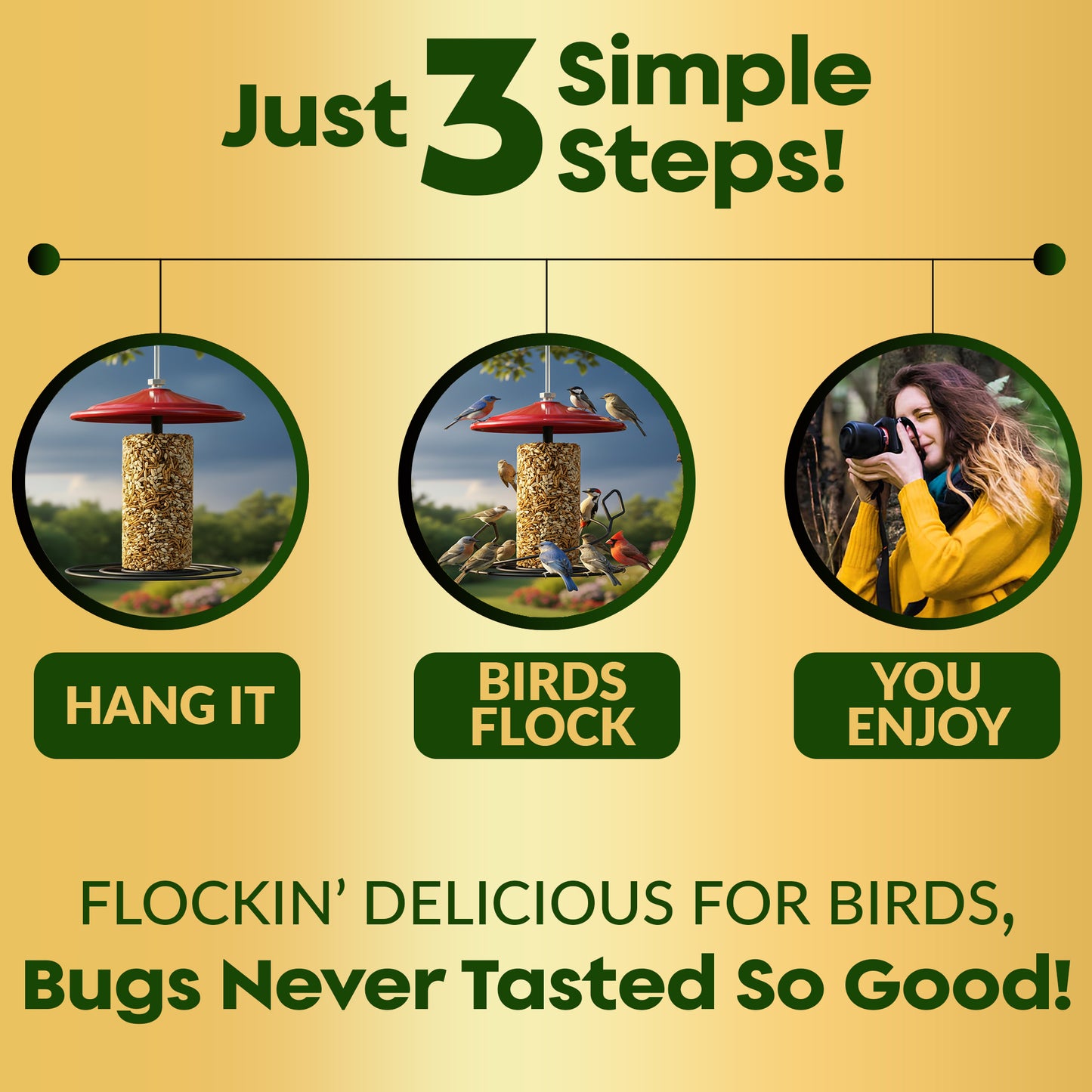 Mealworm Bird Seed Cylinders with Hole – Premium Mealworm Birdseed Log – Sunflower Chips & Dried Mealworms for Wild Birds – Natural High Energy Seed Cylinder – No Fillers – USA Made (4" x