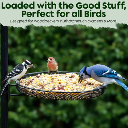 Woodpecker Bird Seeds for Outside Wild Birds - Premium Woodpecker Food with Sunflower Chips, Peanuts &amp; Suet - Attract Woodpeckers &amp; Songbirds - Bird Food for Outside Wild Birds - No Fillers (5LBS)