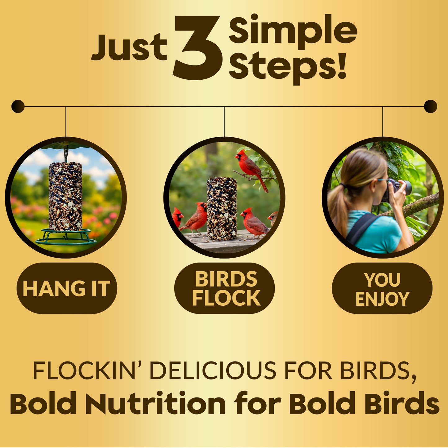 Cardinal Bird Seed Cylinders with Hole – Premium Cardinal Bird Seed Mix Curated for Cardinals & Also Loved by Blue Jays & Woodpeckers – Long Lasting, All Natural, No Fillers, USA Made (4" x 7.75")