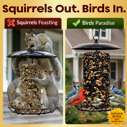Hot Pepper Bird Seed Cylinders with Hole – Spicy Birdseed to Reduce Squirrels – Bird Seeds for Outside Wild Birds – No Mess Birdseed – Hot Birdseed with No Filler – All Natural, USA Made (4" x 7.75")